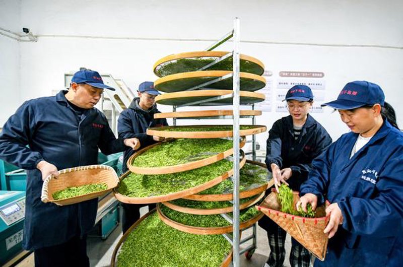 机械加工产业在新疆：一场制造之变